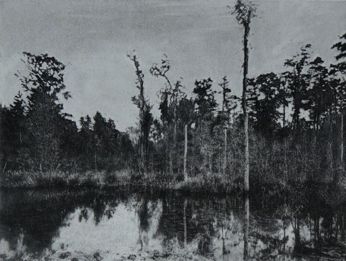 Indian Bayou, Lake Charles, LA - Donald Eubank